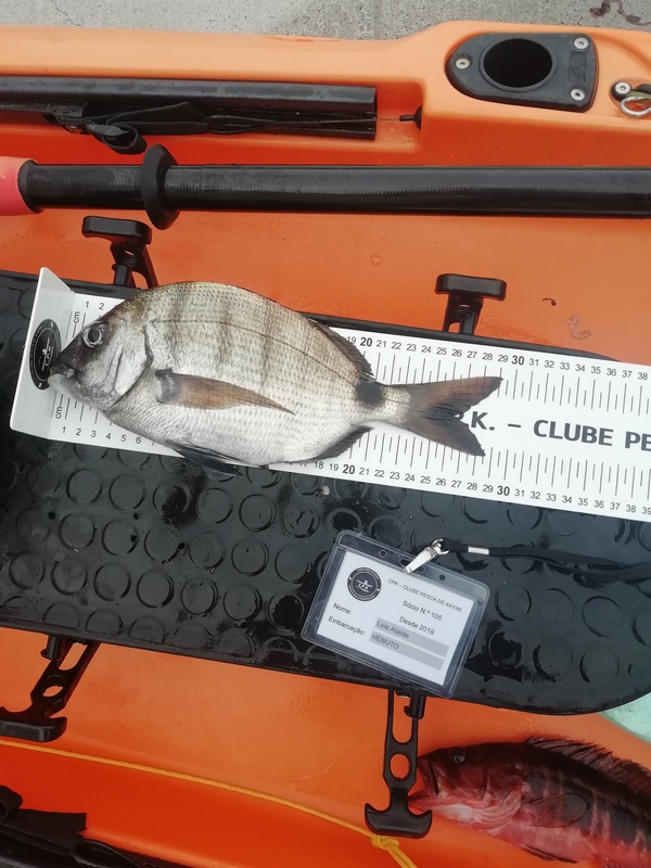 Fish Measure Picture